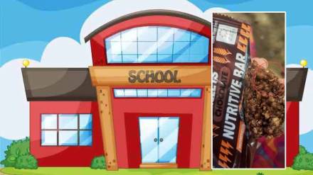 live worms found in chocolate distributed to students in rajura taluka
