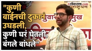 Aditya thackeray criticized state government in Maharashtra Swabhiman Sabha Paithan