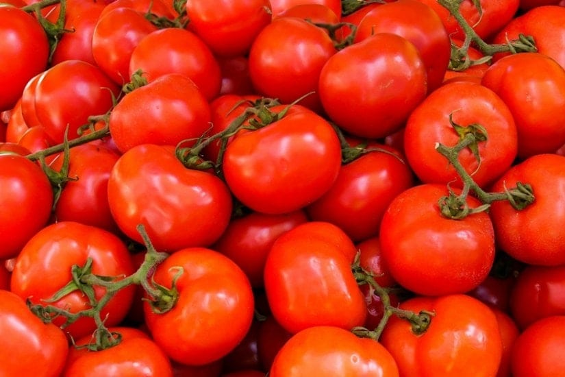 tomatoes