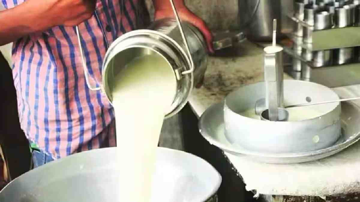 Karad, milk prices, farmers protest, Ladki Mhais Yojana, Ganesh Shewale, Baliraja Farmers' Association, Ladki Bahina scheme, August 15,