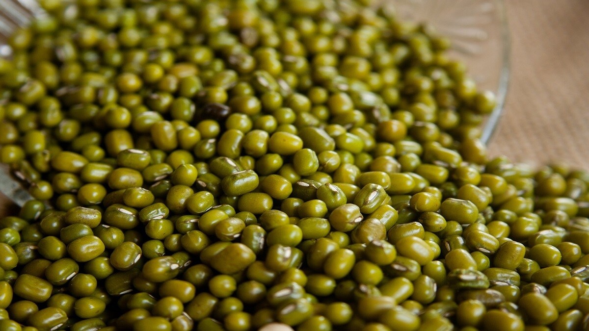 low price to mung, soybean, mung price,