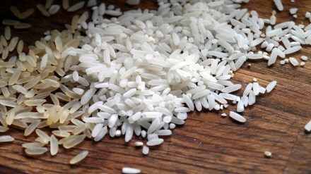 Uran rain, Uran farmers Relief, rice crops Uran,