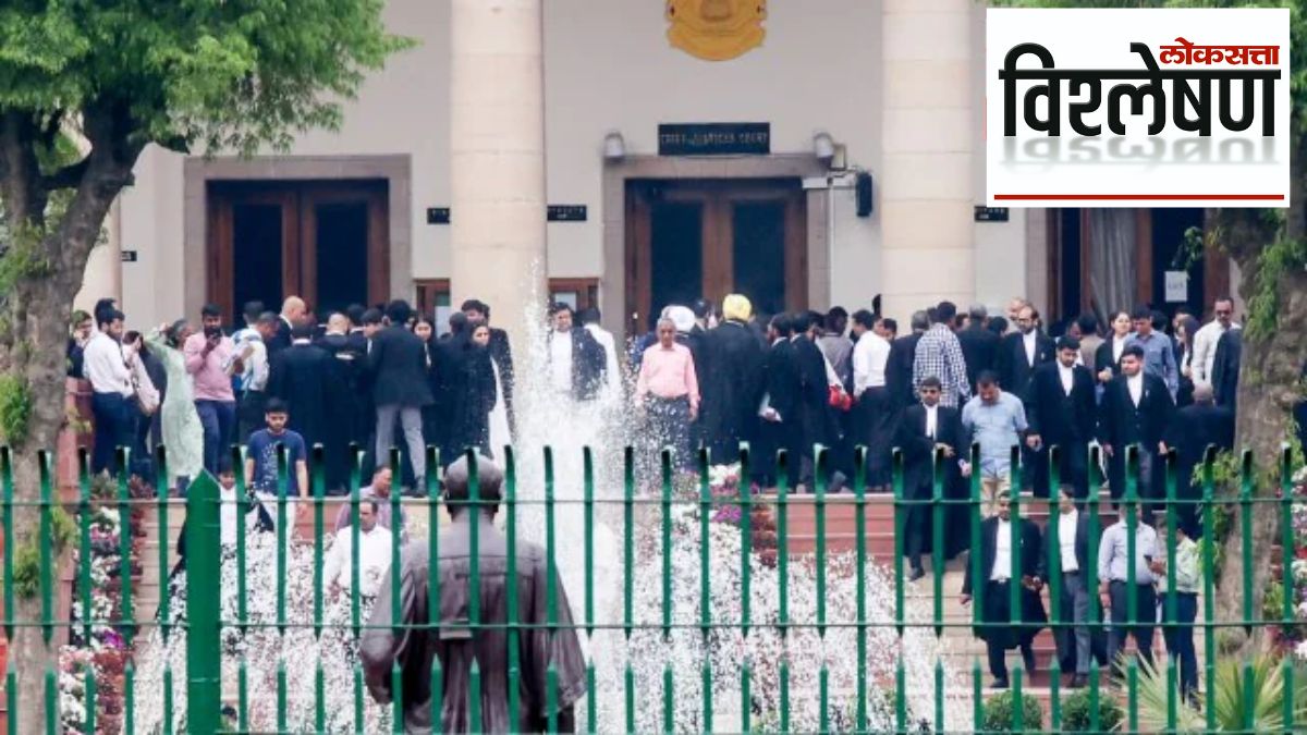 senior lawyer appointed sc