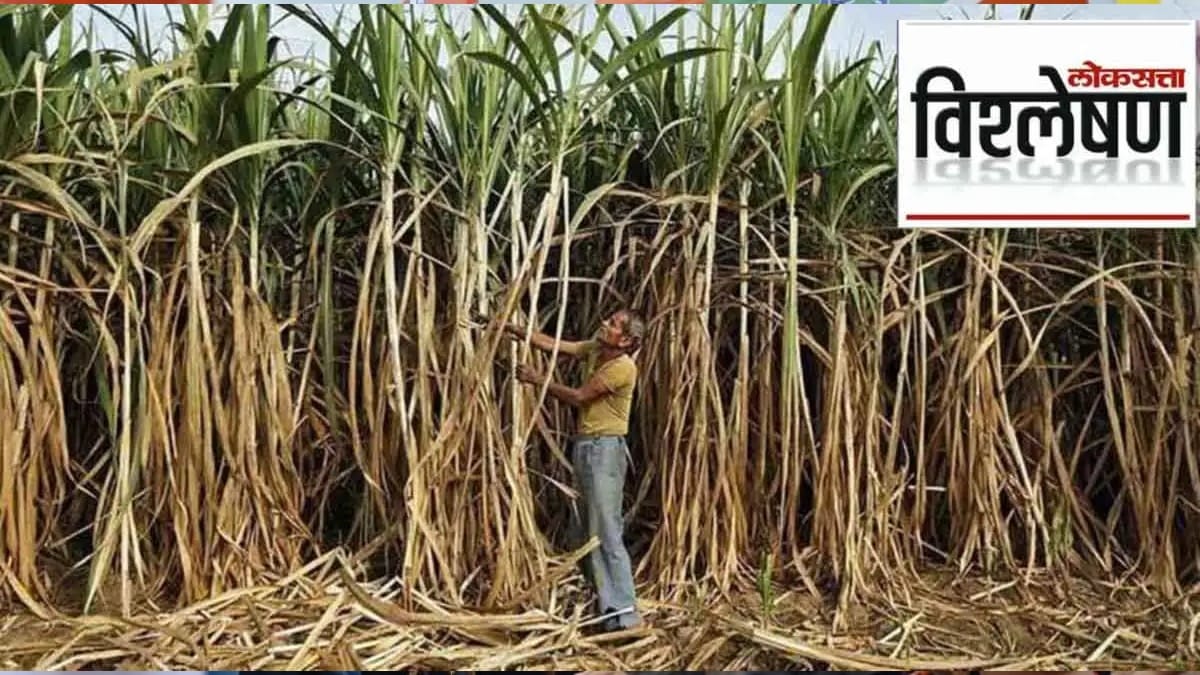 loksatta analysis challenges facing during sugarcane crushing season