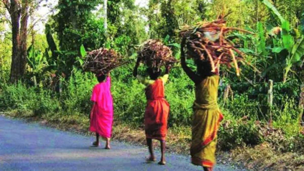 Antar Singh Aryas appeal to youth says responsibility of youth to save tribals