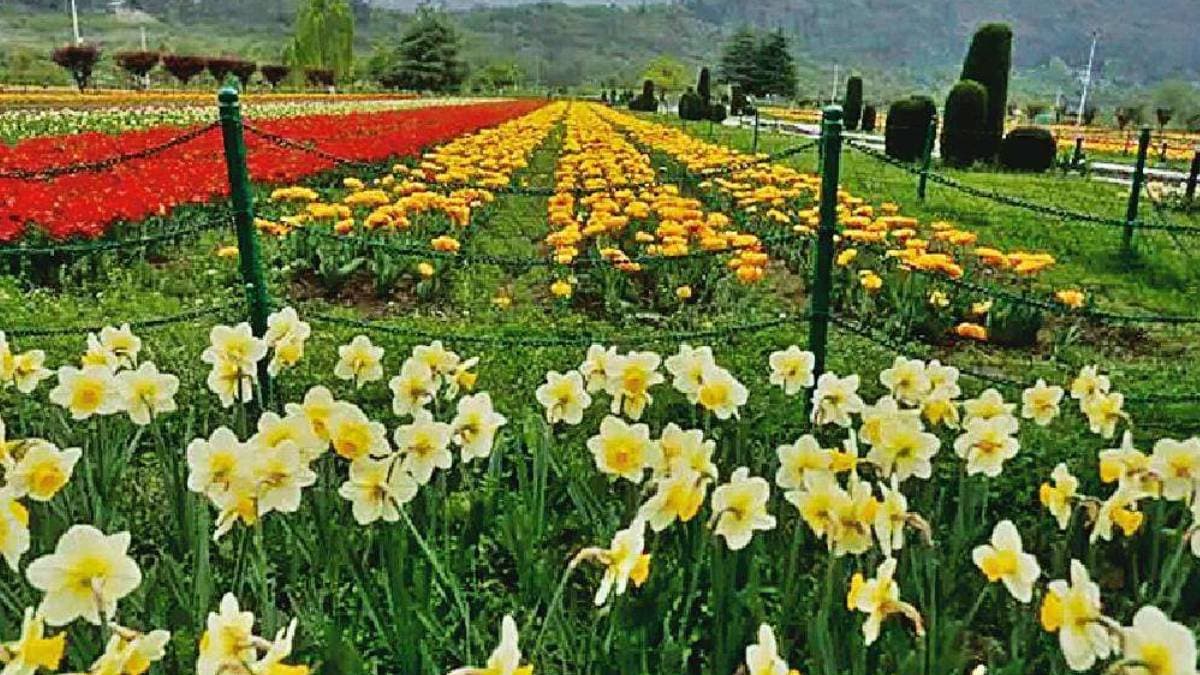 best valley of flowers to visit during monsoon season