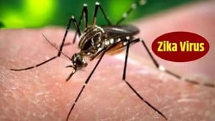 After the floods in Pune city the number of Zika patients will increase rapidly Pune news