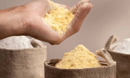 Besan Rolls Recipe in marathi