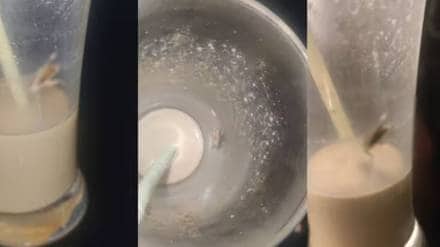 Cockroach in Coffee