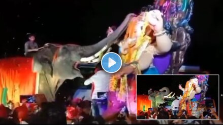 Ganesh Chaturthi 2024 ganesh aagaman viral video elephant welcomes bappa by putting mala haar around his neck ganeshotsav