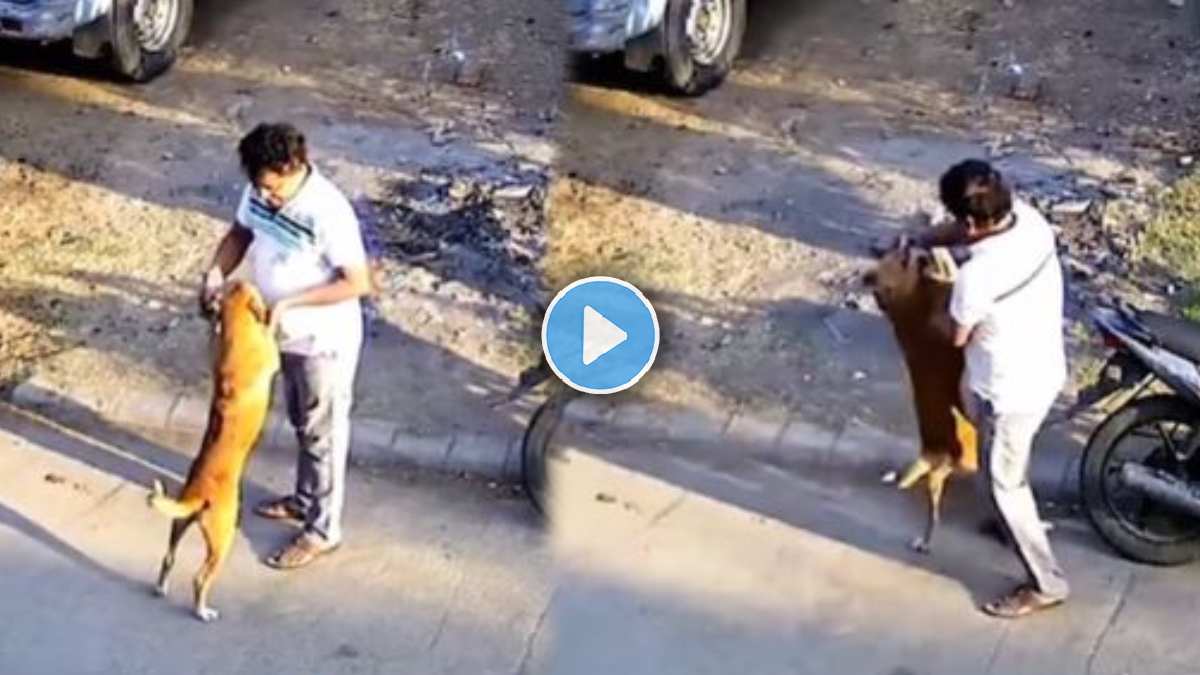 A man was attacked by a street dog