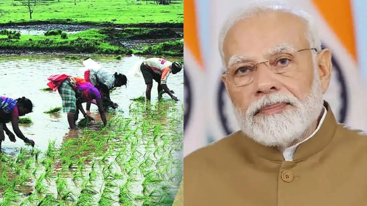 agricultural schemes