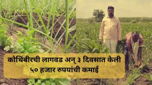 solapur farmer's Success Story