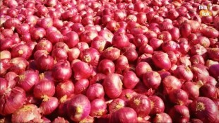 senior officials of railways to provide more than 60 rakes twice for onion transport