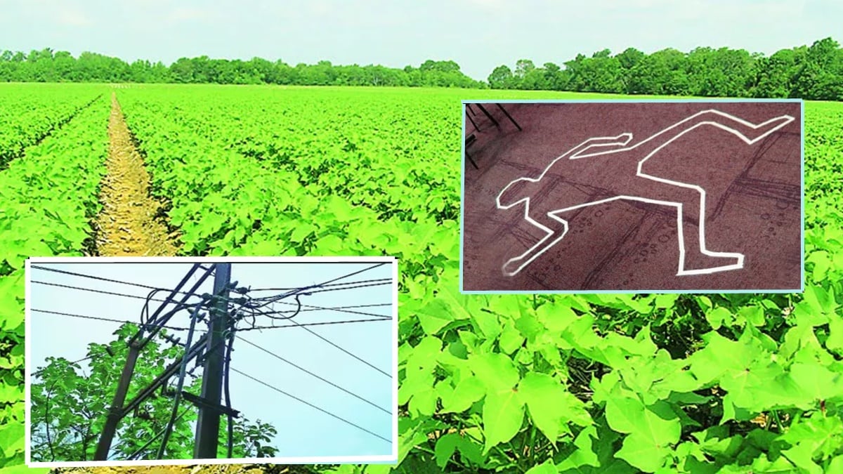 Chandrapur four farmers electrocuted to death marathi news
