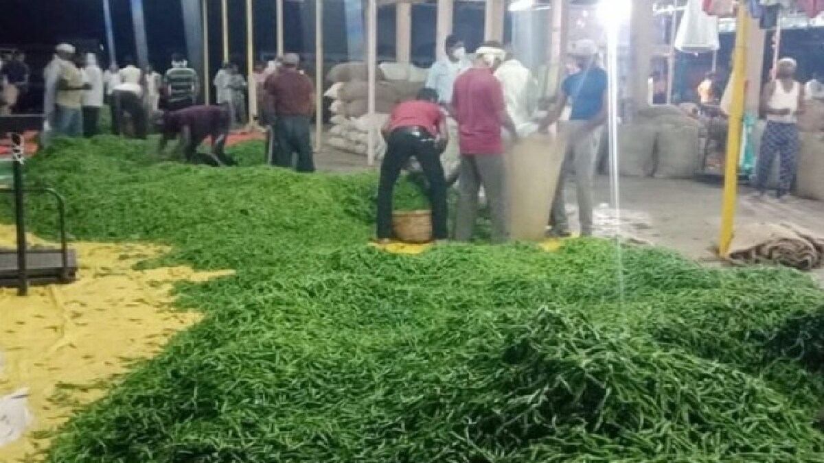 Rajura Chili market in Varud taluka night market in Vidarbha Amravati