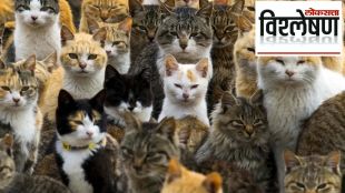 donald trump on pet animals of america (1)