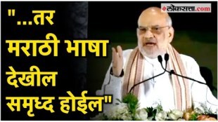 Union Home Minister Amit Shah appealed to speak mother tongue even at home