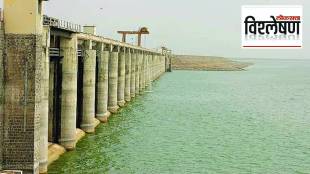 loksatta analysis, Jayakwadi Dam water use