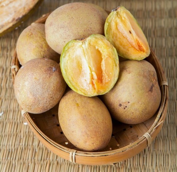 Sapodilla