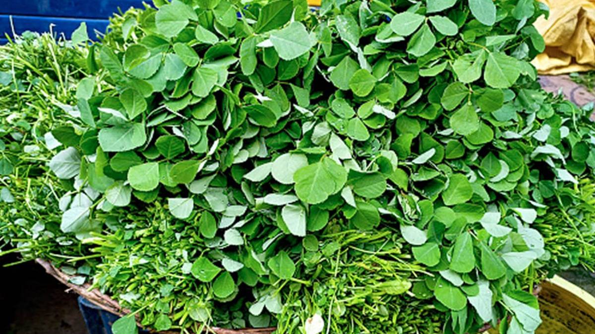 Rising vegetable prices becoming major issue for women running home based restaurants