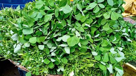 Rising vegetable prices becoming major issue for women running home based restaurants