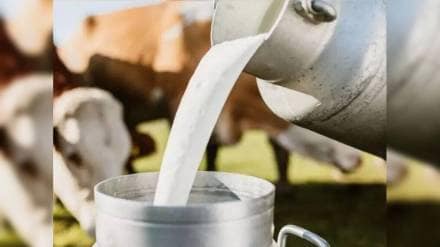 Dairy Development Project expand from 11 to 19 districts in Vidarbha and Marathwada