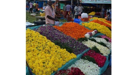sataa flower market