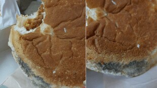 Burger king mould-infested burger viral post by a delhi man viral on social media