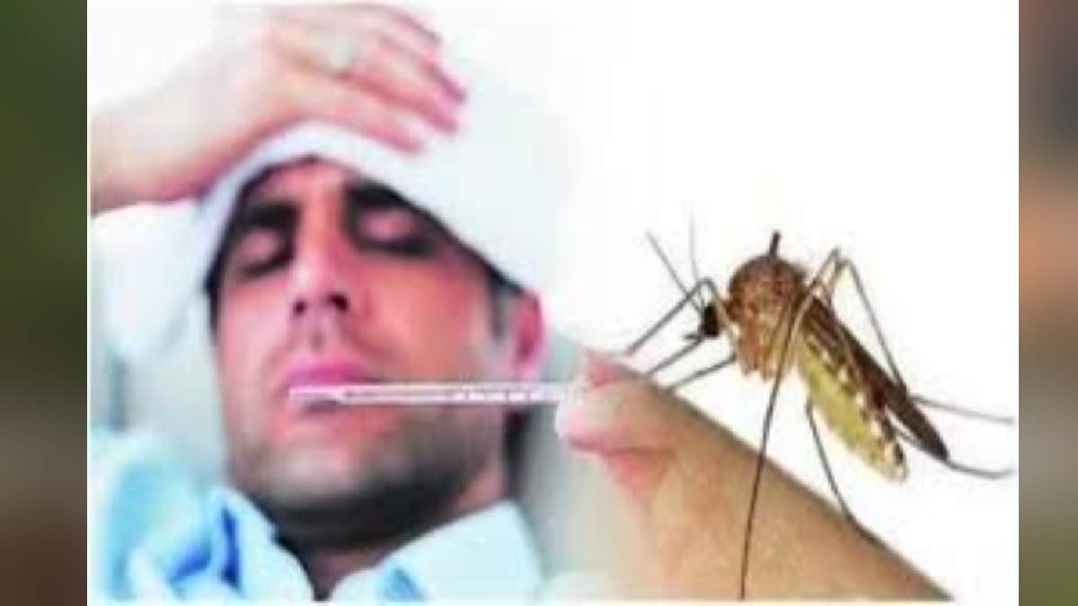 Mumbai dengue cases increased slightly while winter fever cases decreased