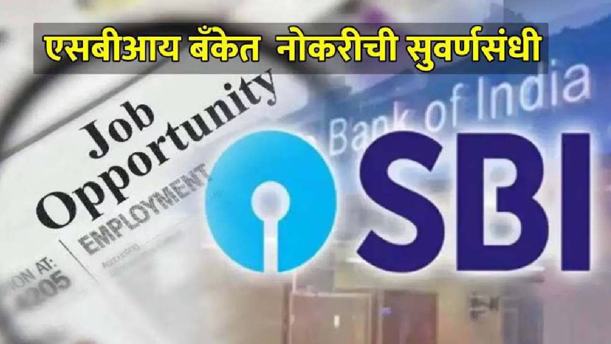 sbi recruitment 2024 sco Specialist Cadre Officer