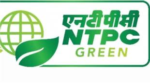 NTPC Green Energy shares rise 12 percent