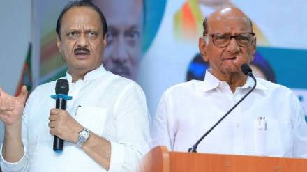Sharad Pawar On Ajit Pawar :