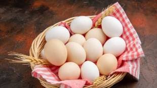 ngapur Egg prices risen early this year due to increased production costs