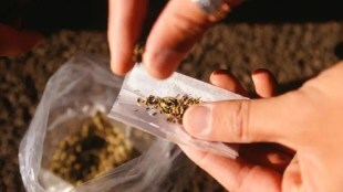 kalyan In Bhubaneswar Express passenger without ticket was found with three kilos of ganja