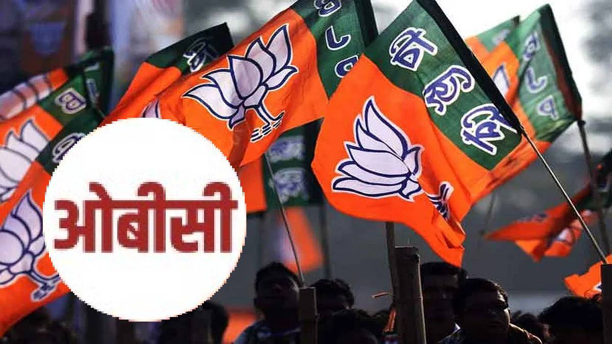 maharashtra Assembly Election 2024 OBC rashtriya seva sangh Mahayuti BJP wins in Vidarbha print politics news