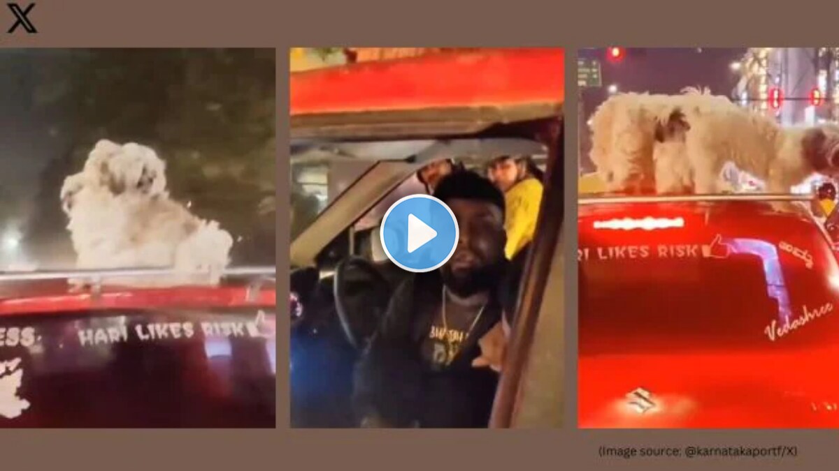 Bengaluru man drives with dogs perched on car’s roof, abuses motorist who filmed the scene