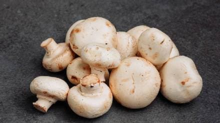 Mushrooms benefits Eating 5 Mushrooms Daily May Help Combat Heart Disease And Dementia