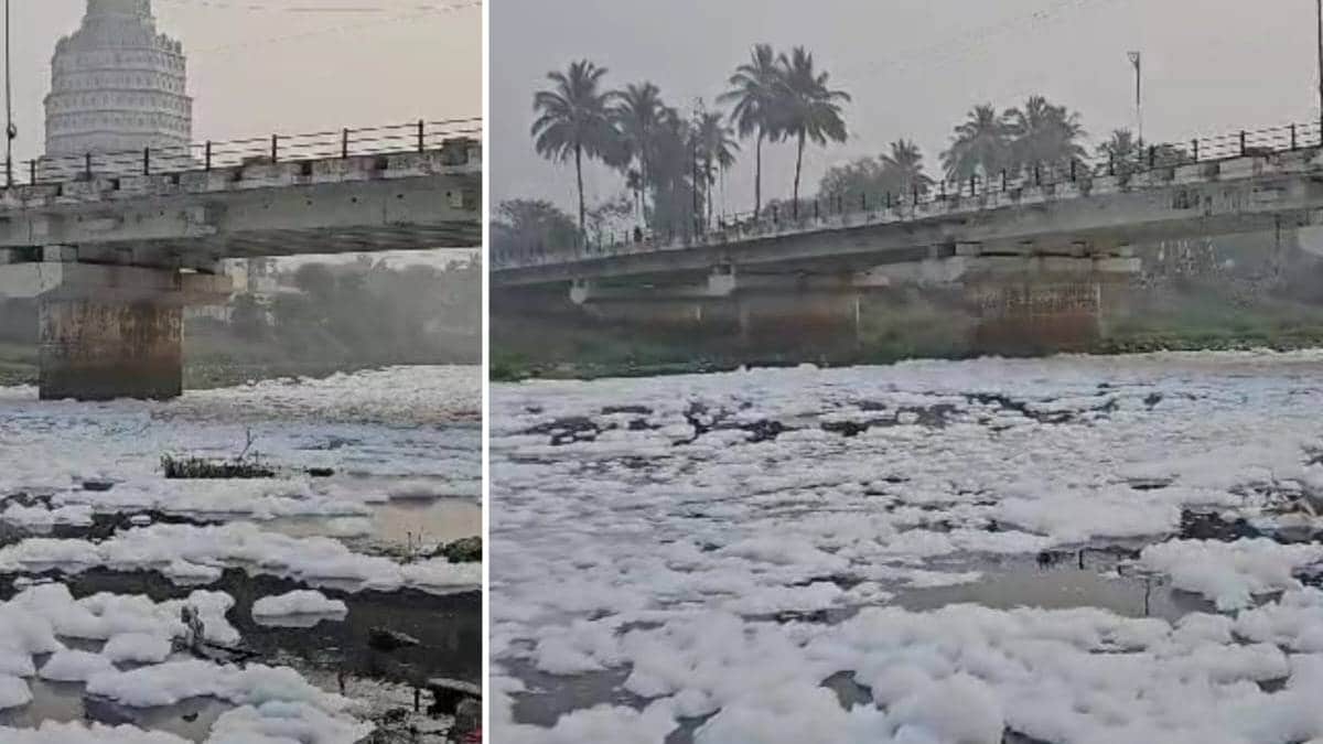 Indrayani river is foaming in Alandi