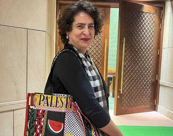  Palestine bag in parliament