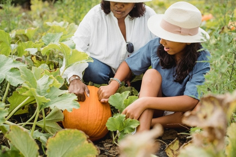 Pumpkin