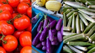 Vegetables that are Fruits