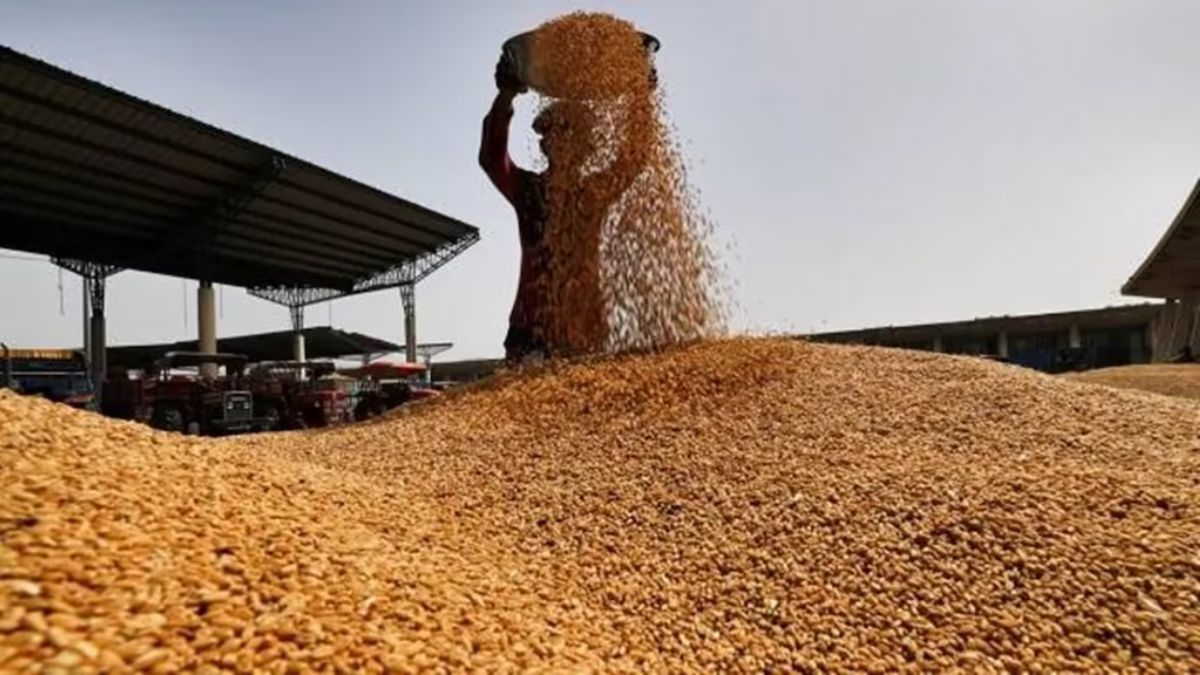Target of purchasing 33 lakh quintals of paddy in tribal areas