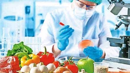 Job Opportunities in Agriculture Sector Agri Food Technology Sector Production Capacity