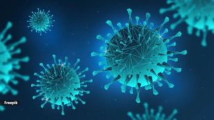 Pimpri Chinchwad Municipal Corporations Medical Department started precautions for HMPV virus