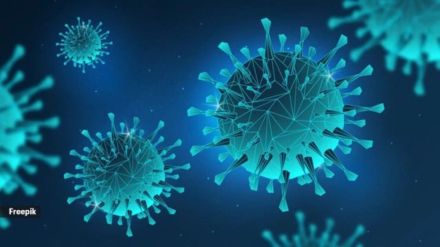 Pimpri Chinchwad Municipal Corporations Medical Department started precautions for HMPV virus