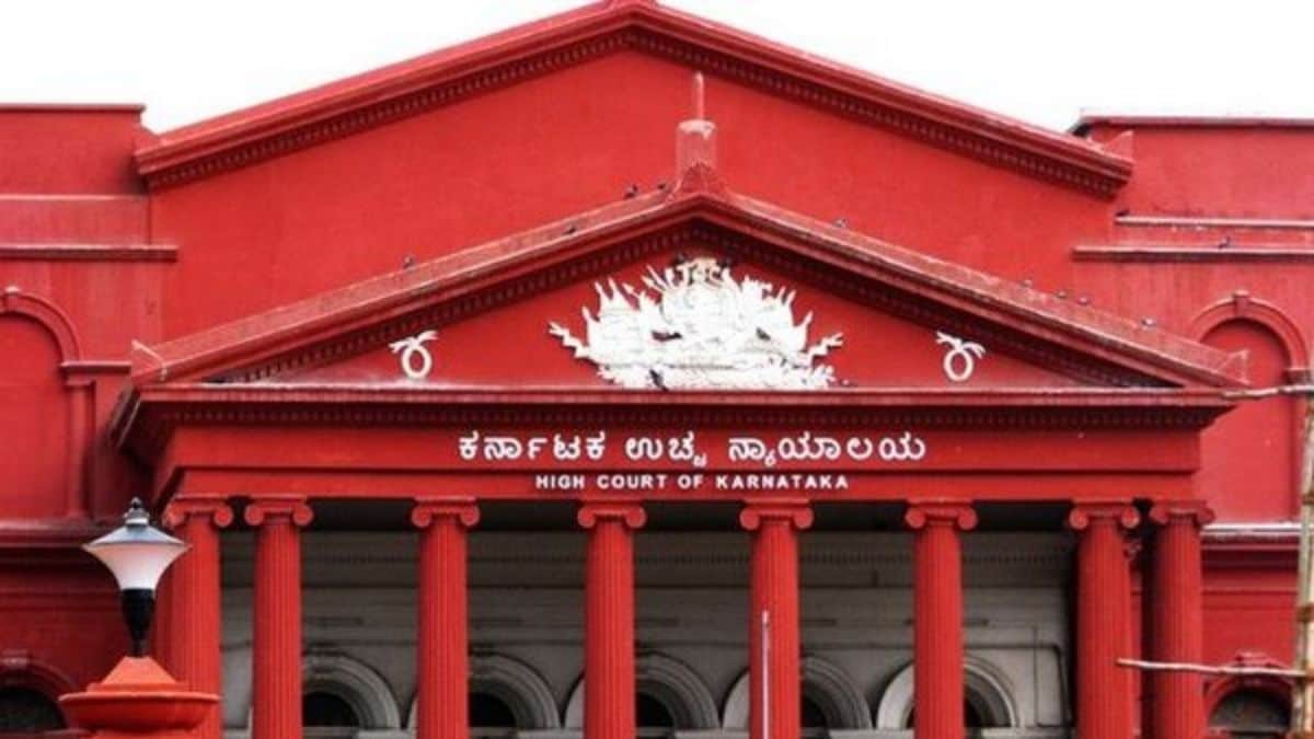 Karnataka High Court's ruling clarifies that consent for sex does not equate to permission for assault.