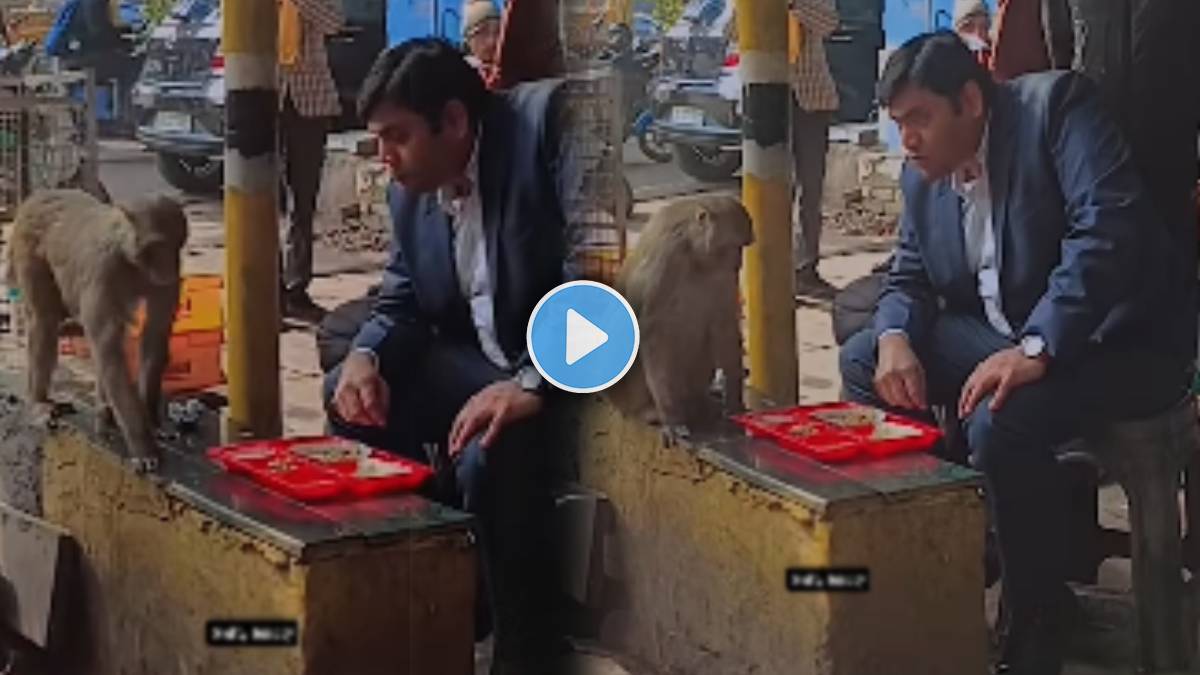 video shows Monkey And Man ate from one plate