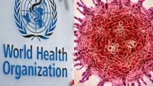 WHO On HMPV Virus
