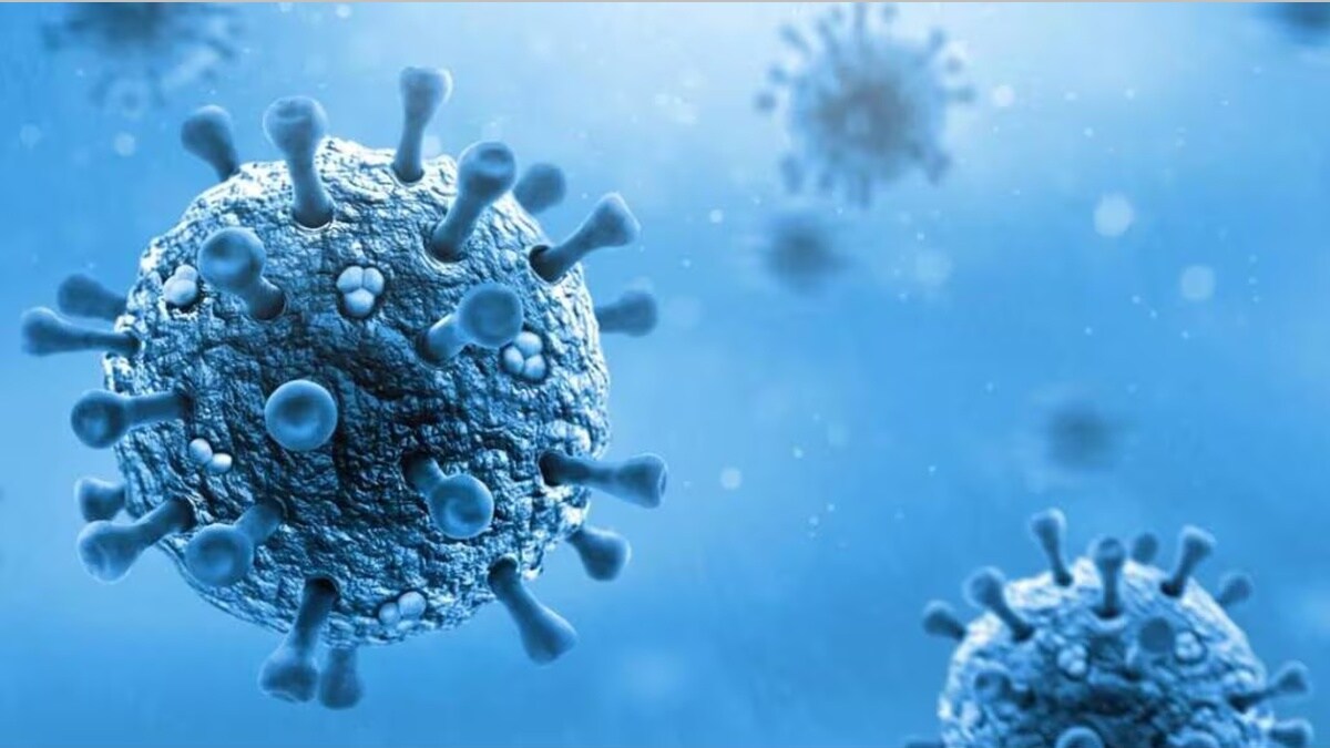 HMPV infection first reported in Pune in 2004 has created fear and sparked research